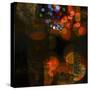 Light Magic-Valda Bailey-Stretched Canvas