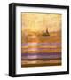 Light of The Sun No. 1-Marta Wiley-Framed Art Print