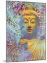 Light of Truth-Fusion Idol Arts-Mounted Giclee Print