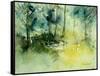 Light on a Pond in a Wood-Pol Ledent-Framed Stretched Canvas