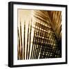 Light on Palms I-Malcolm Sanders-Framed Giclee Print