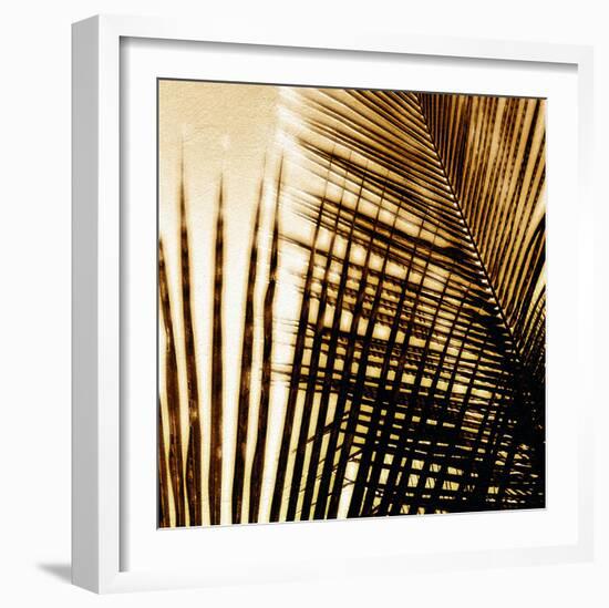 Light on Palms I-Malcolm Sanders-Framed Giclee Print