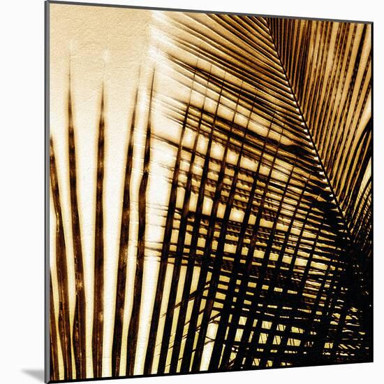 Light on Palms I-Malcolm Sanders-Mounted Giclee Print