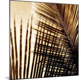 Light on Palms I-Malcolm Sanders-Mounted Giclee Print