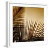 Light on Palms III-Malcolm Sanders-Framed Giclee Print