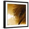 Light on Palms IV-Malcolm Sanders-Framed Giclee Print