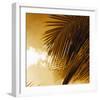 Light on Palms IV-Malcolm Sanders-Framed Giclee Print