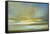 Light on the Dunes-Sheila Finch-Framed Stretched Canvas