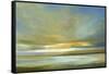 Light on the Dunes-Sheila Finch-Framed Stretched Canvas