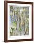 Light on Young Mangroves-John Gynell-Framed Giclee Print