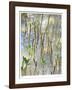 Light on Young Mangroves-John Gynell-Framed Giclee Print