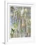 Light on Young Mangroves-John Gynell-Framed Giclee Print