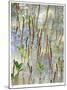 Light on Young Mangroves-John Gynell-Mounted Giclee Print