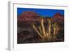 Light Painted Joshua Tree-nstanev-Framed Photographic Print