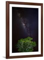 Light painted tree in the foreground with the Milky Way Galaxy in the Pantanal, Brazil-James White-Framed Photographic Print