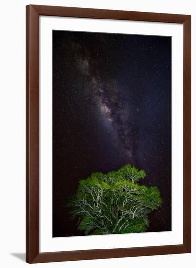 Light painted tree in the foreground with the Milky Way Galaxy in the Pantanal, Brazil-James White-Framed Photographic Print