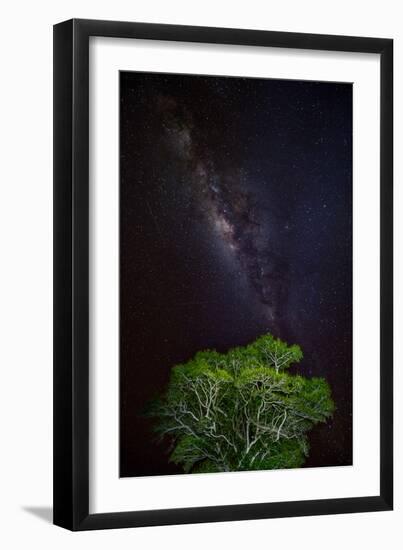 Light painted tree in the foreground with the Milky Way Galaxy in the Pantanal, Brazil-James White-Framed Photographic Print