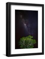 Light painted tree in the foreground with the Milky Way Galaxy in the Pantanal, Brazil-James White-Framed Photographic Print