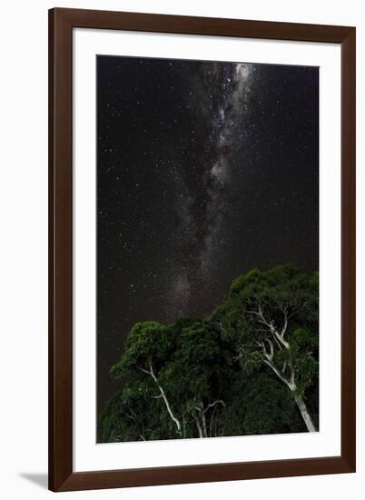 Light painted tree in the foreground with the Milky Way Galaxy in the Pantanal, Brazil-James White-Framed Photographic Print