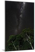 Light painted tree in the foreground with the Milky Way Galaxy in the Pantanal, Brazil-James White-Mounted Photographic Print