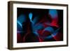 Light Painting Abstract Background. Blue and Red Light Painting Photography, Long Exposure, Ripples-Regina M art-Framed Photographic Print