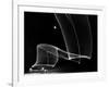 Light Pattern in the Moonlight Sky Produced by Time Exposure of Light-Andreas Feininger-Framed Photographic Print