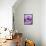 Light Purple Rose-Clive Nichols-Framed Stretched Canvas displayed on a wall