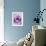 Light Purple Rose-Clive Nichols-Framed Photographic Print displayed on a wall