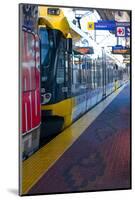 Light Rail Line toward Airport-jrferrermn-Mounted Photographic Print