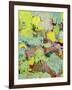 Light Rays I-Allan Friedlander-Framed Art Print