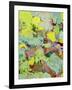 Light Rays I-Allan Friedlander-Framed Art Print