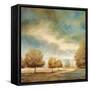 Light & Shadows I-Jeffrey Leonard-Framed Stretched Canvas