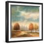 Light & Shadows II-Jeffrey Leonard-Framed Art Print