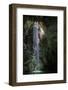 Light shining into Abismo Anhumas or Anhumas Abyss. Serra da Bodoquena, Brazil-Michel Roggo-Framed Photographic Print