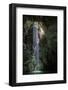 Light shining into Abismo Anhumas or Anhumas Abyss. Serra da Bodoquena, Brazil-Michel Roggo-Framed Photographic Print