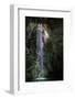 Light shining into Abismo Anhumas or Anhumas Abyss. Serra da Bodoquena, Brazil-Michel Roggo-Framed Photographic Print