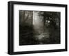 Light Shining Through Trees in Forest-Fay Godwin-Framed Giclee Print