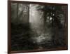 Light Shining Through Trees in Forest-Fay Godwin-Framed Giclee Print