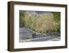 Light snow on trees in early spring, Louisville, Kentucky-Adam Jones-Framed Photographic Print