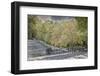 Light snow on trees in early spring, Louisville, Kentucky-Adam Jones-Framed Photographic Print