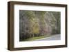 Light snow on trees in early spring, Louisville, Kentucky-Adam Jones-Framed Photographic Print