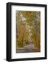 Light snowfall on Wyoming Road near Copper Harbor in the Upper Peninsula of Michigan, USA-Chuck Haney-Framed Photographic Print