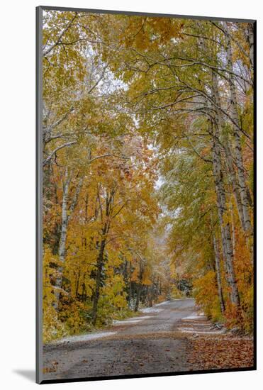 Light snowfall on Wyoming Road near Copper Harbor in the Upper Peninsula of Michigan, USA-Chuck Haney-Mounted Photographic Print