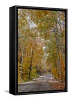 Light snowfall on Wyoming Road near Copper Harbor in the Upper Peninsula of Michigan, USA-Chuck Haney-Framed Stretched Canvas