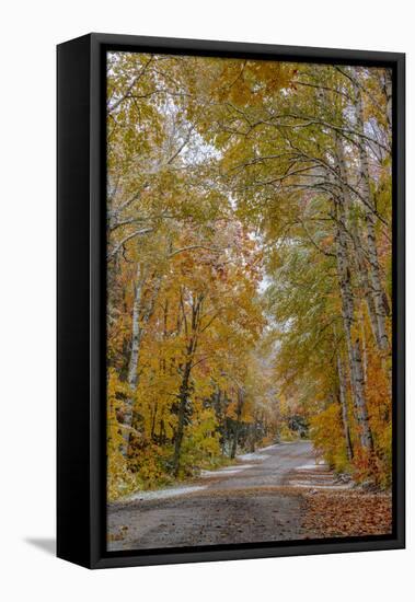 Light snowfall on Wyoming Road near Copper Harbor in the Upper Peninsula of Michigan, USA-Chuck Haney-Framed Stretched Canvas
