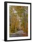 Light snowfall on Wyoming Road near Copper Harbor in the Upper Peninsula of Michigan, USA-Chuck Haney-Framed Photographic Print