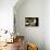 Light Streaming Through Window on Sand Covered House in Kolmanskop Ghost Town-Enrique Lopez-Tapia-Photographic Print displayed on a wall