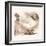 Light Sussex Hen-Tim Kahane-Framed Photographic Print