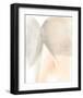 Light Touch II-Jennifer Goldberger-Framed Art Print