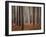 Light Touch-David Baker-Framed Photographic Print